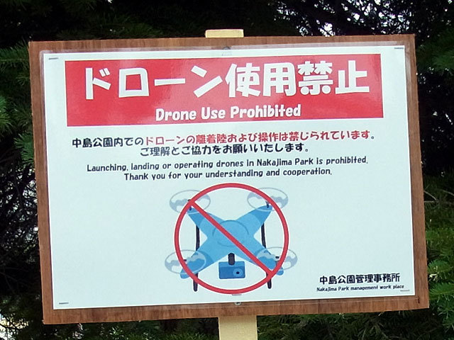 150613dronekinsi.jpg