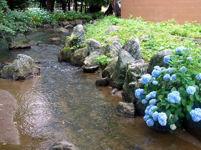 150719kajisaikamo.jpg