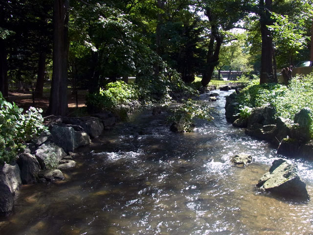 150908kamokamogawa.jpg