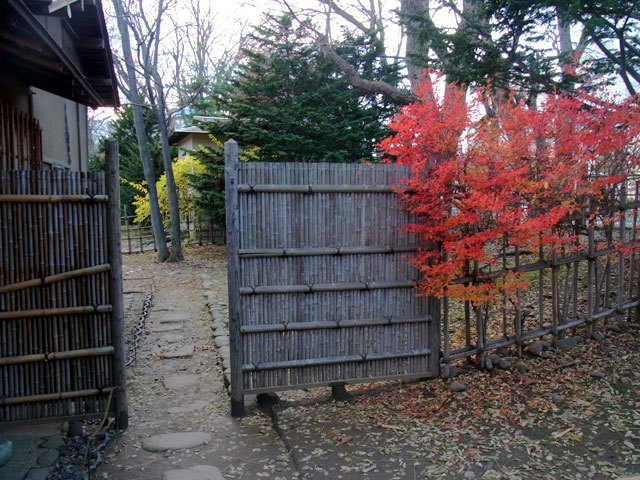 151112hassouanhei.jpg