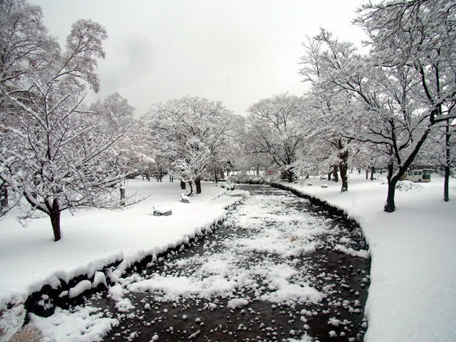 151124kamokamogawa.jpg