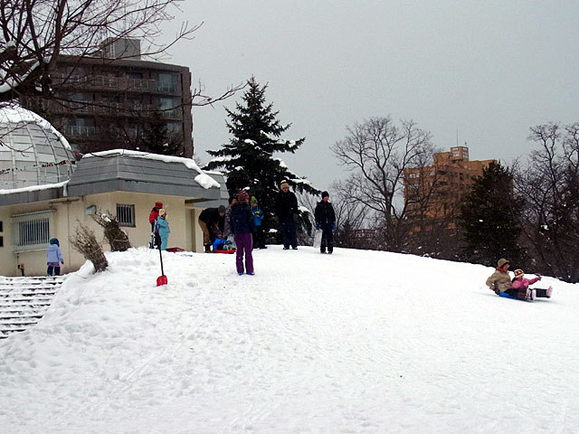 160101hatumoude3.jpg