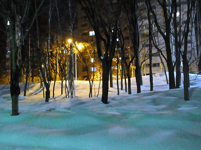 160206hayasi.jpg