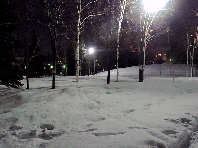 160206sirakaba.jpg