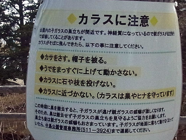 160414keijikarasu.jpg