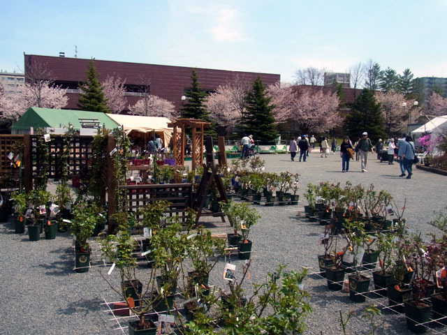 160503engeiiti1.jpg