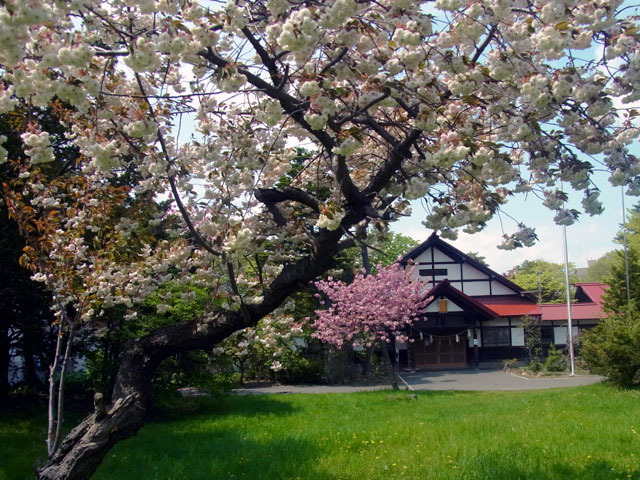 160517tagajinja.jpg