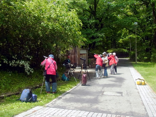 160601satueitai.jpg