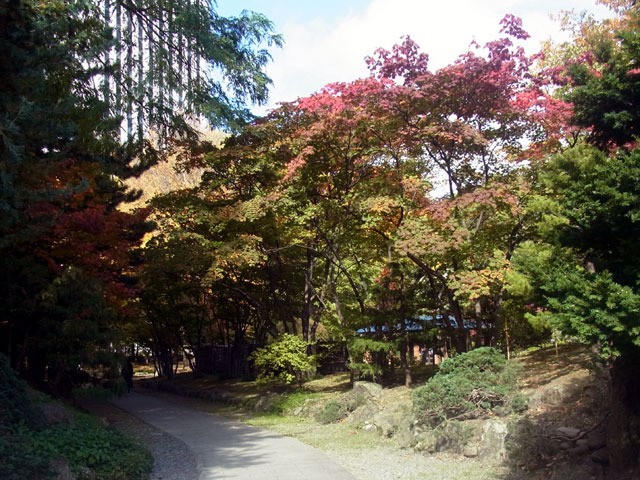 161018teien2.jpg