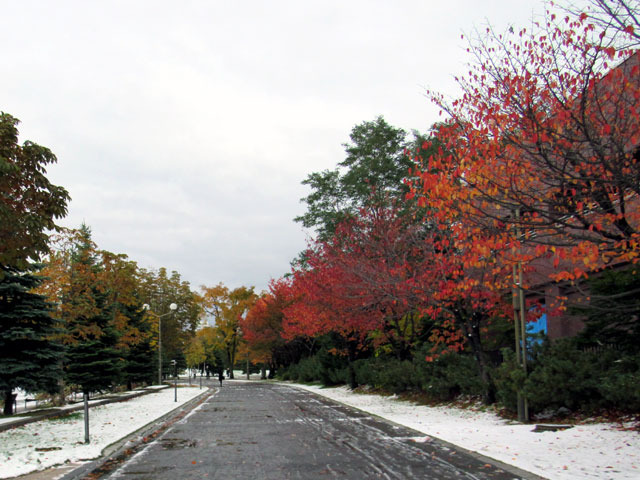 161021snow13.jpg