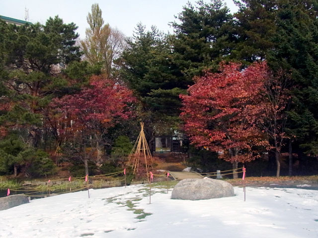 161111teien2.jpg