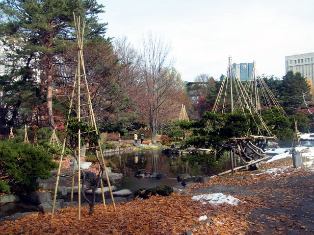 161111teien9.jpg