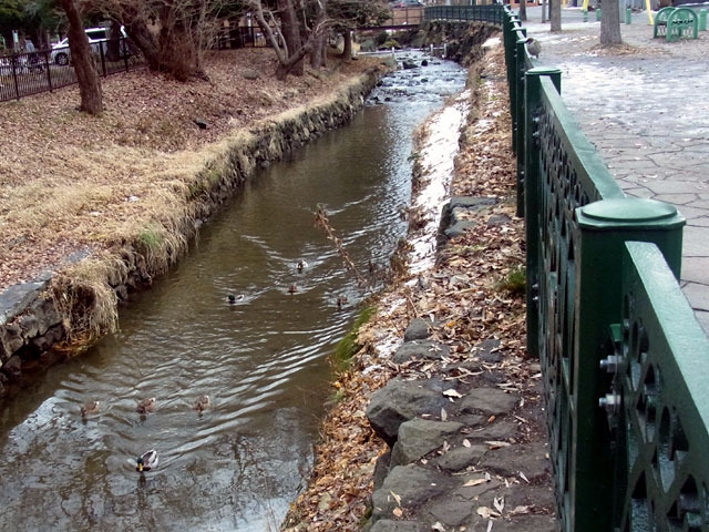 161204kamokamogawa.jpg