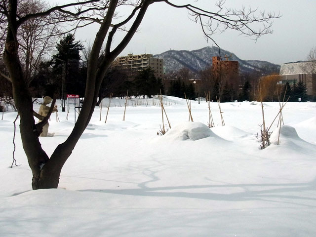 170204moiwayama.jpg