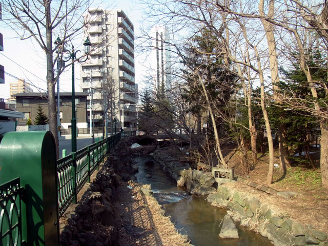 170415kamokamogawa.jpg