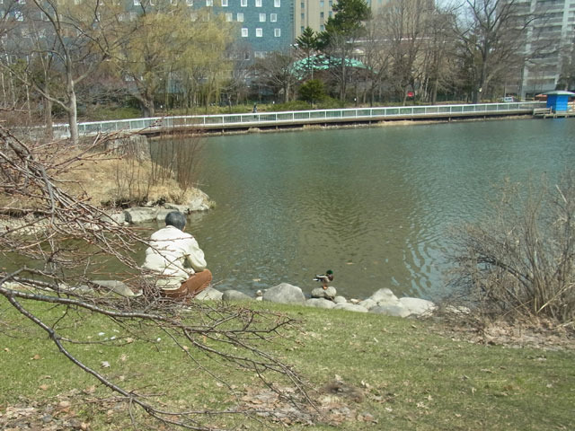 170415shoubuike.jpg