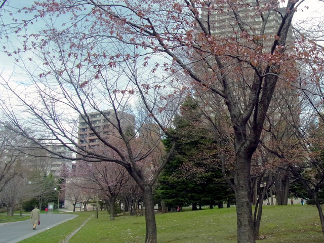170428bungaku.jpg