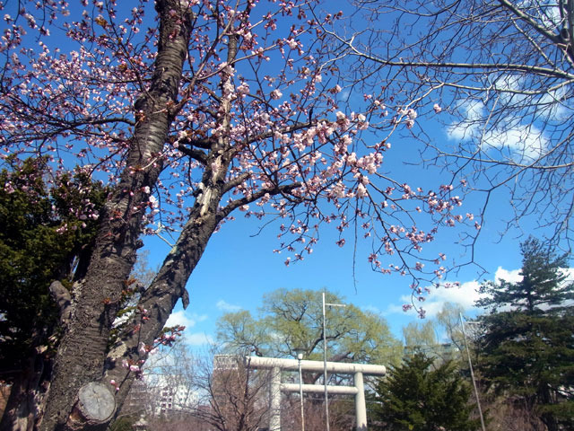 170429gokoku.jpg