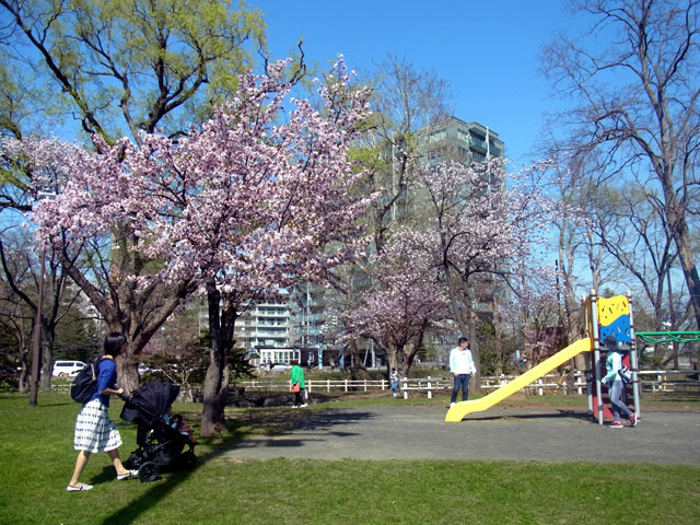 170503kamokamogawa2.jpg