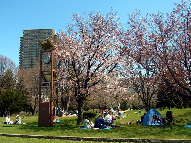 170503tokei.jpg