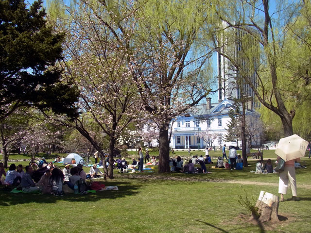170504hanami.jpg