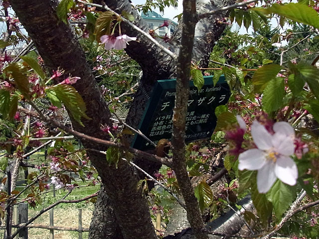 170507tisima1.jpg
