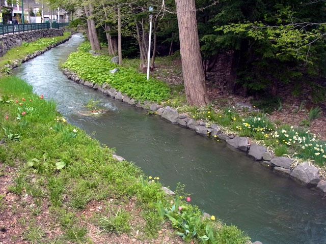 170513kamokamogawa.jpg