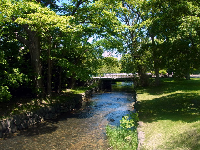 170605kamokamogawa.jpg