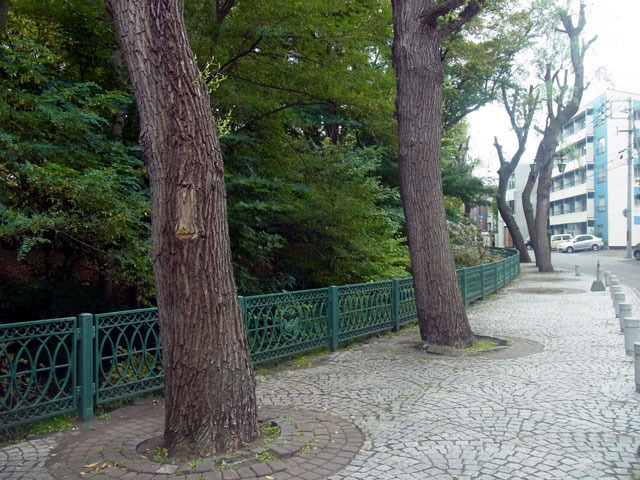 171003akiti15.jpg
