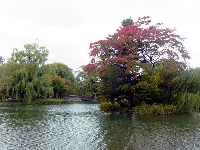 171004kouyou.jpg