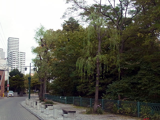 171008yanag5.jpg