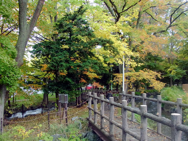 171012kouyou1.jpg