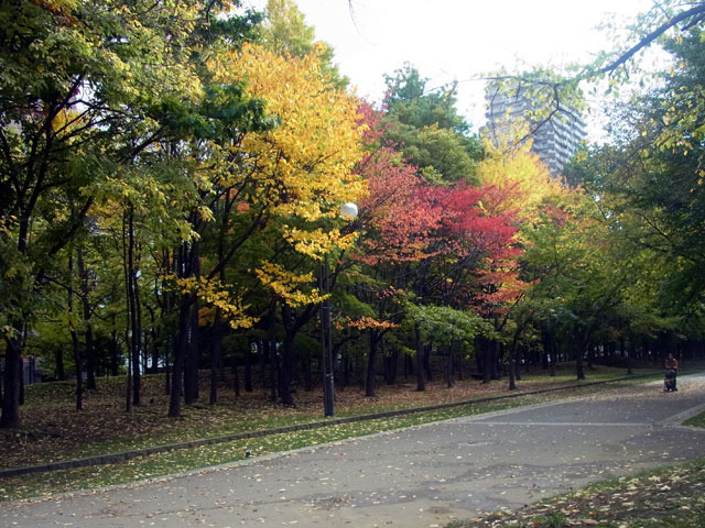 171013enro.jpg