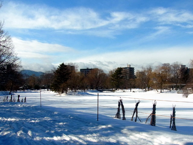 180112shoubuike.jpg