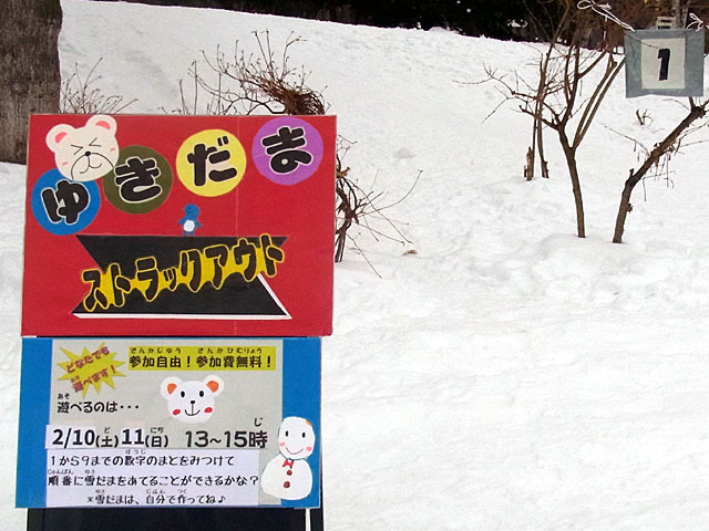 180210yukiakari2.jpg