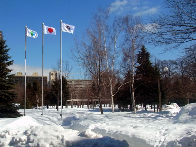 180310hata.jpg