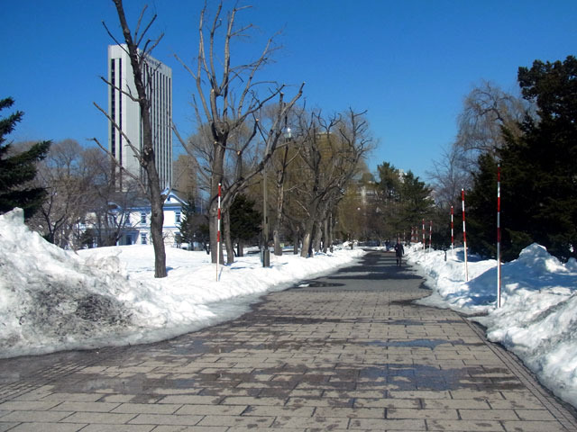 180324tenmonyoko.jpg