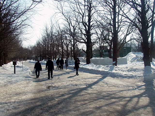 190303ichonamiki.jpg