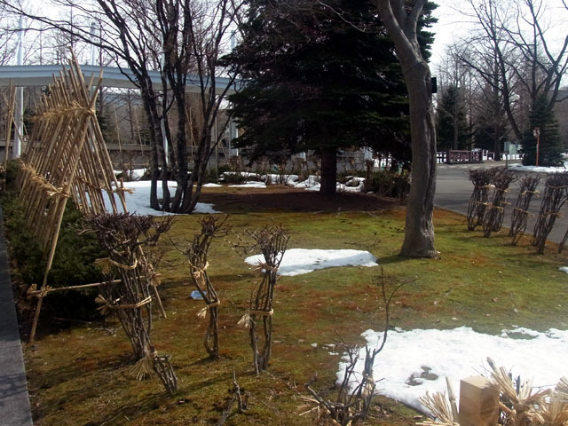 190314kitaramae.jpg