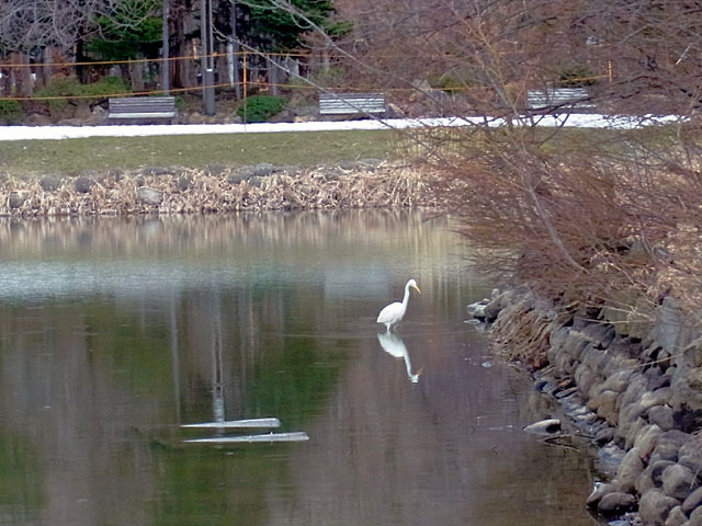 190406daisag4.jpg