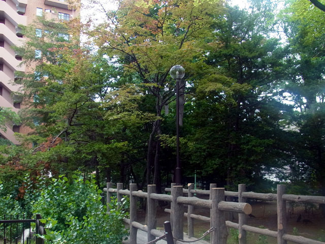 190730nakasu3go.jpg