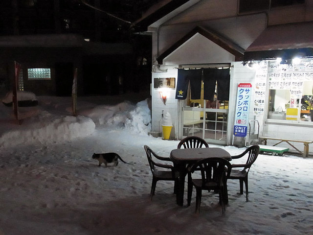 n140207midori.jpg