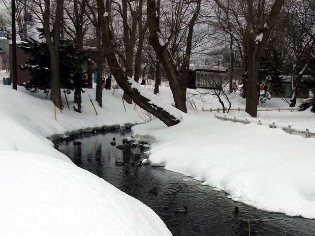 n140215horohirabasieki.jpg