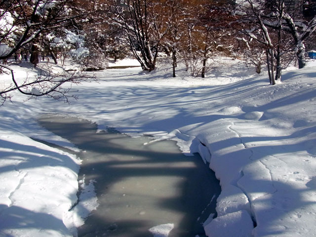 200121ikekita.jpg