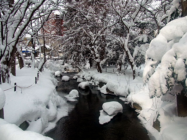 200206ooyuki8.jpg