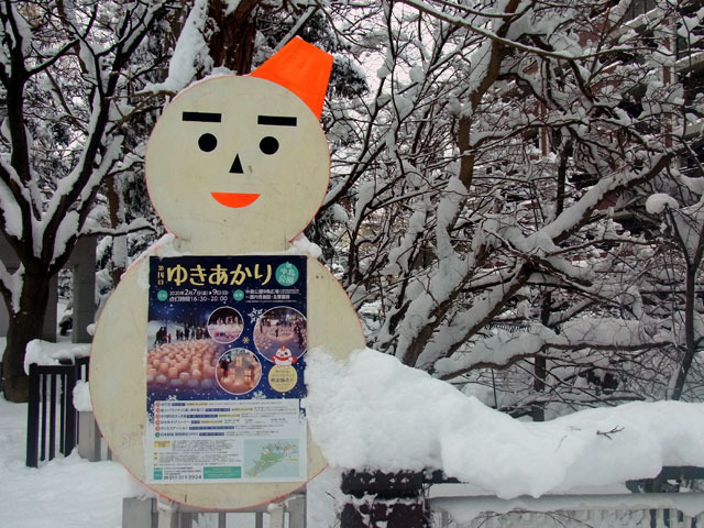 200206yukiakari.jpg