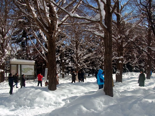 200211kujohiroba.jpg