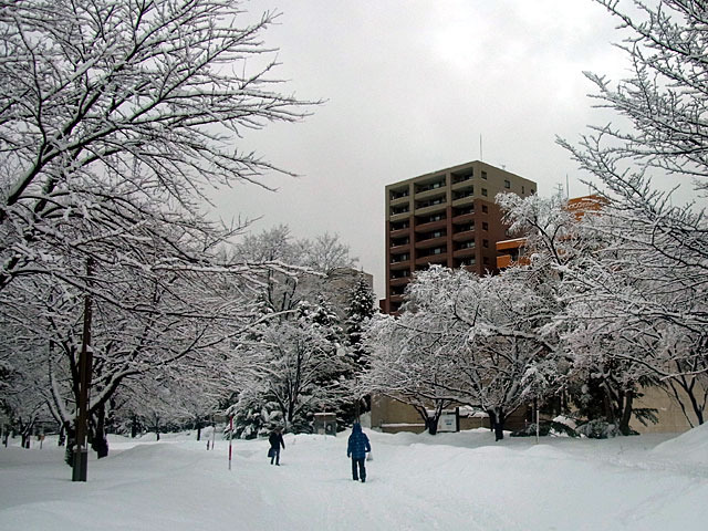 200218yuki8.jpg