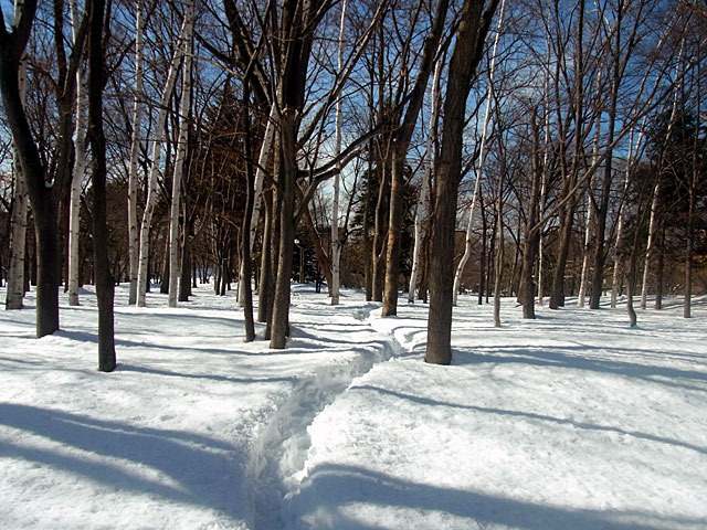 200226hayasi2.jpg
