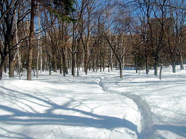 200226hayasi6.jpg